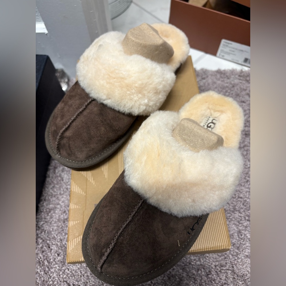 New with box uggs slippers